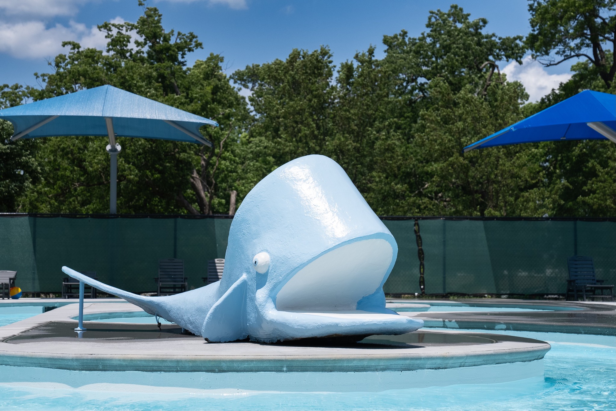 Come Splash with Rory!
